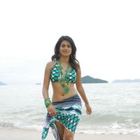 Shraddha Das - Shraddha Das in bikini hot pictures | Picture 63716